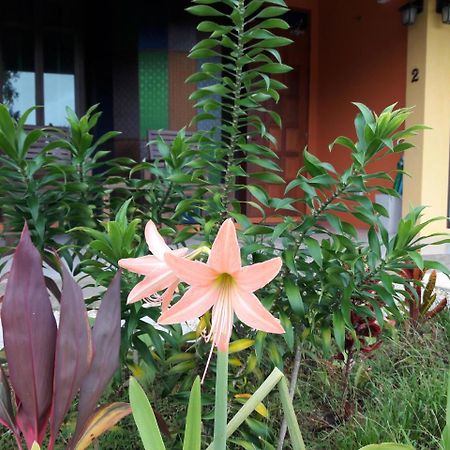 Villa Raintree Bangsak Khao Lak Exterior foto